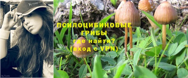 гашиш Арсеньев