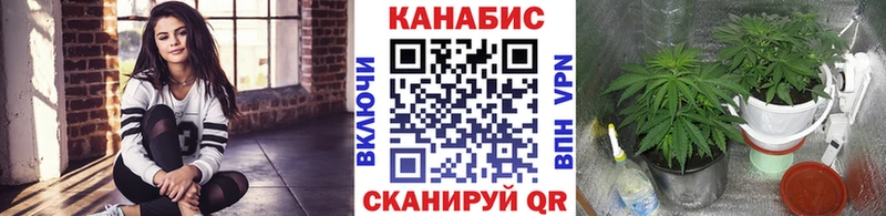 МАРИХУАНА конопля  Моршанск 
